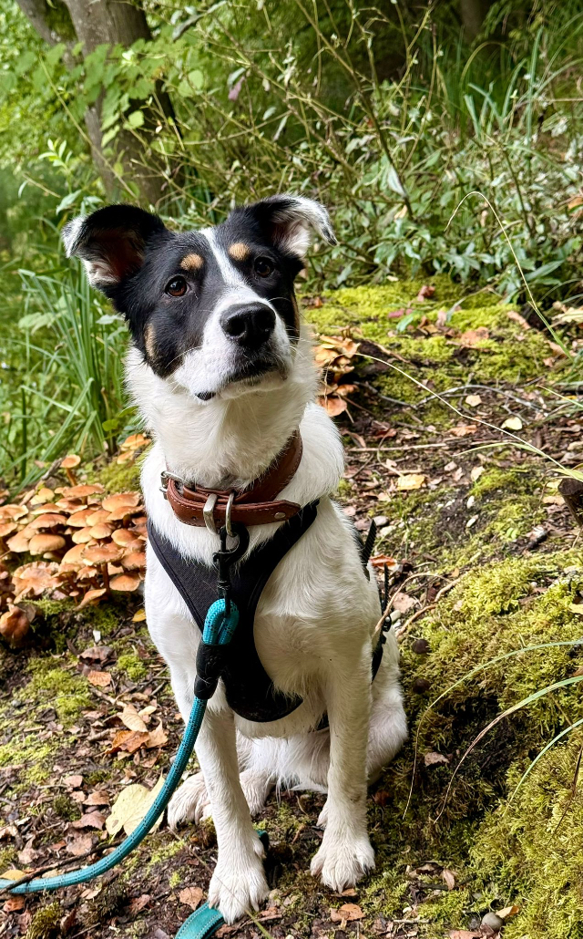 Fellengel_Kira_13.59.19