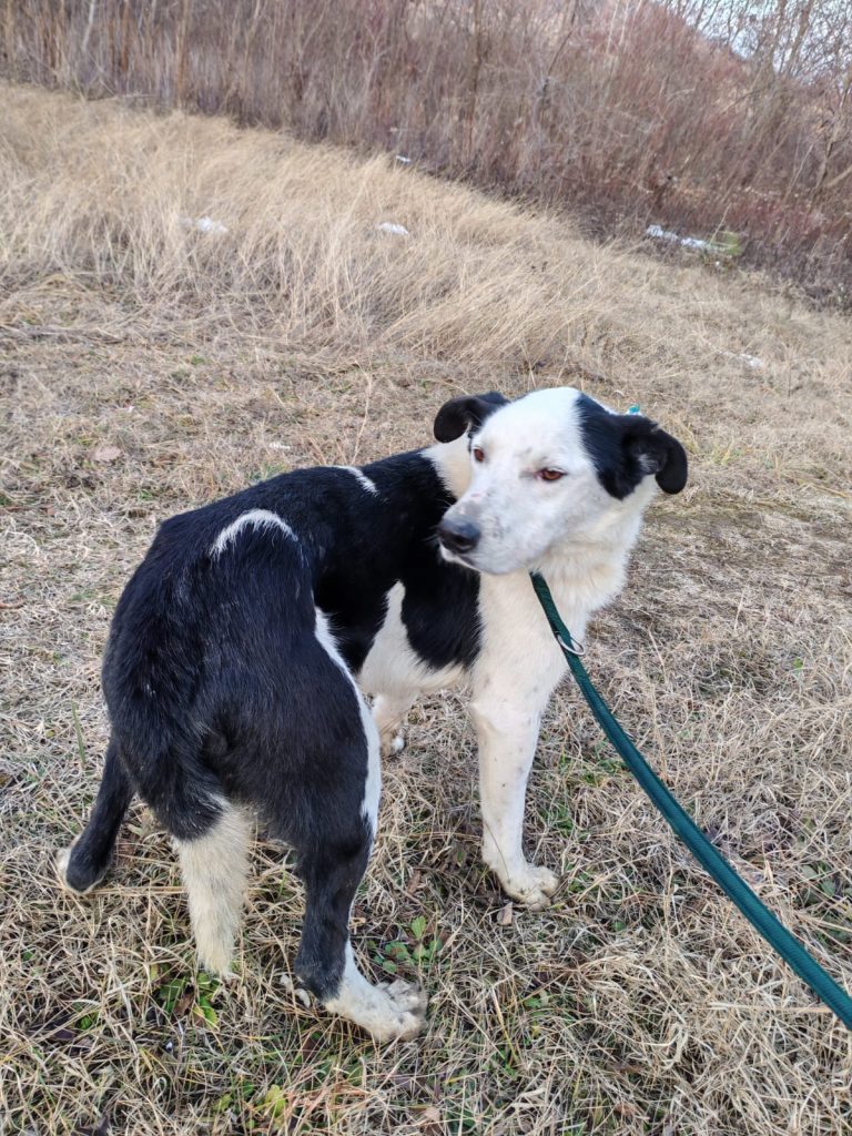 PHOTO-2025-01-08-15-56-13