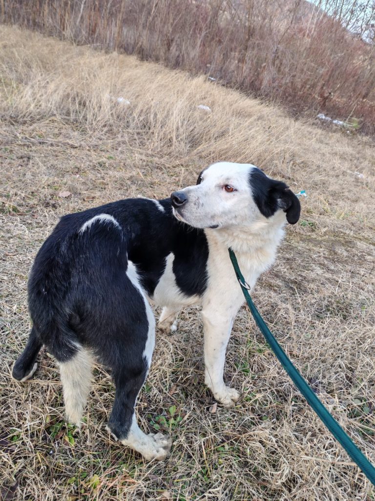 PHOTO-2025-01-08-15-56-15