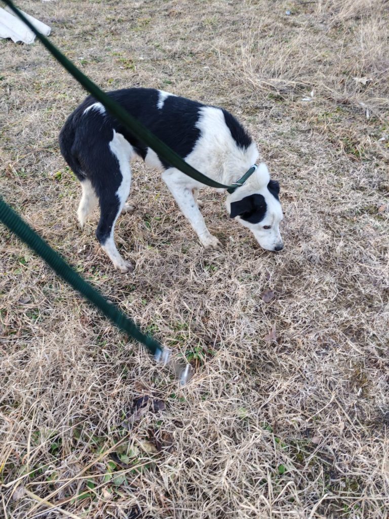 PHOTO-2025-01-08-15-56-19