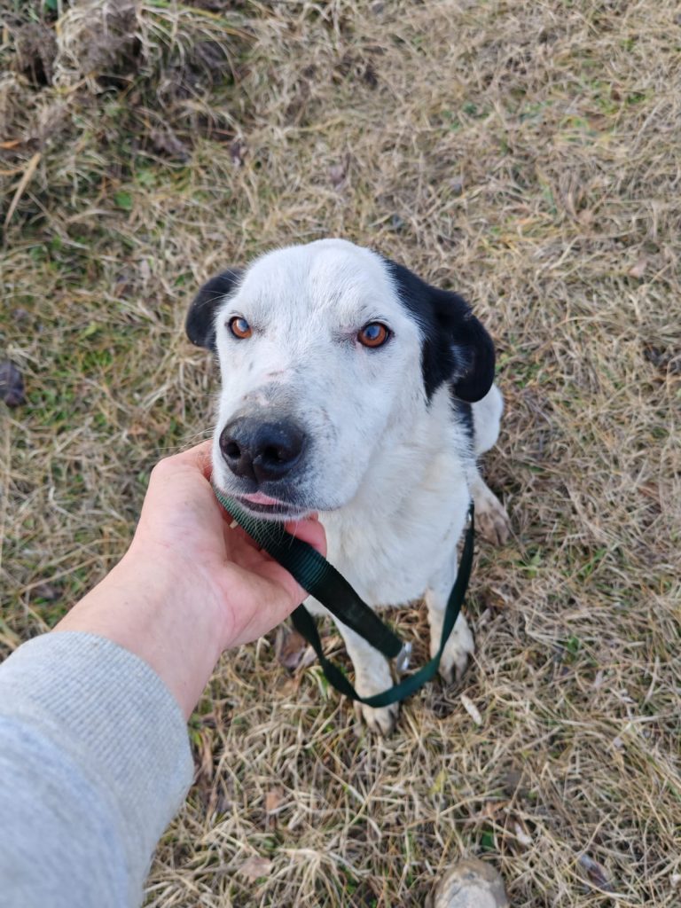 PHOTO-2025-01-08-15-56-22 (2)