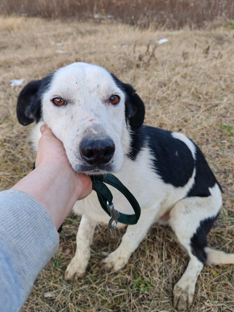 PHOTO-2025-01-08-15-56-22 (3)