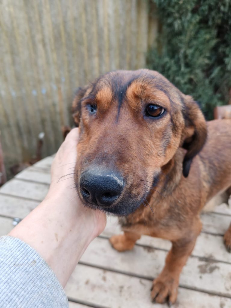 PHOTO-2025-01-08-15-59-26