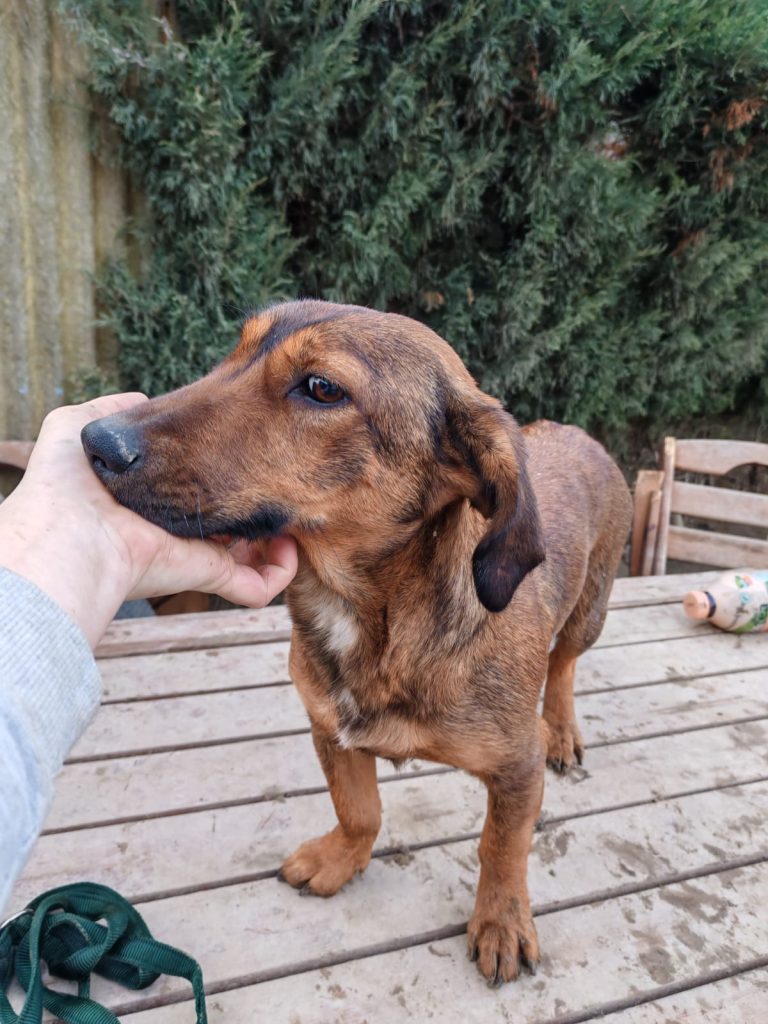 PHOTO-2025-01-08-15-59-27 (2)