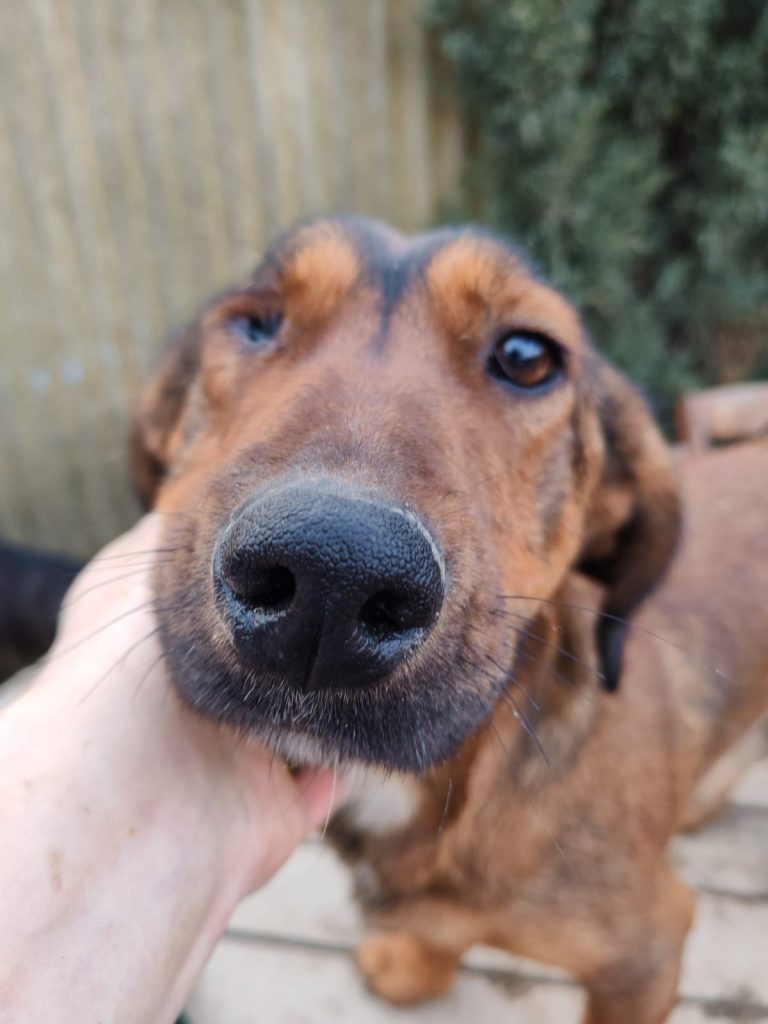 PHOTO-2025-01-08-15-59-27 (3)