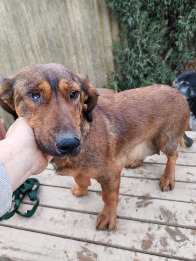 PHOTO-2025-01-08-15-59-27