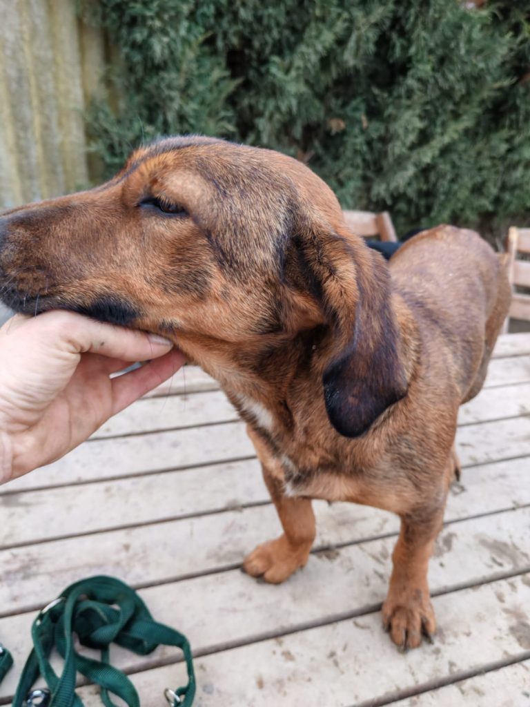 PHOTO-2025-01-08-16-01-07