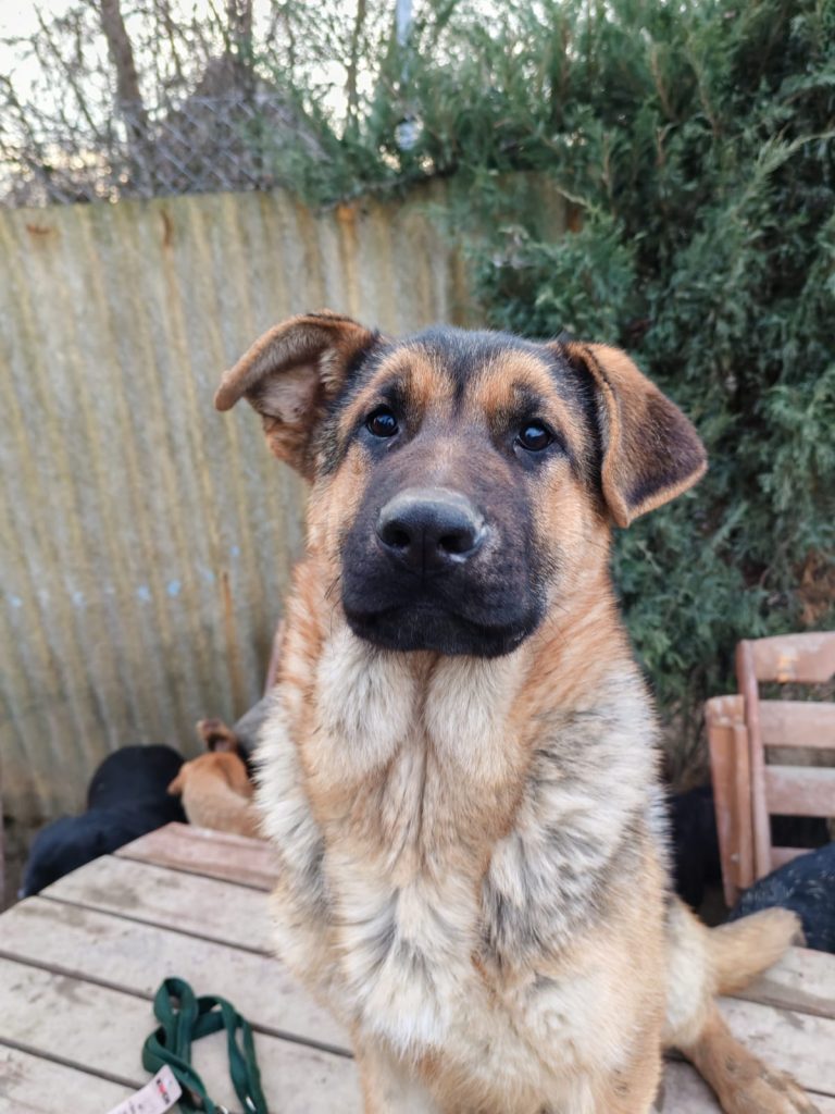 PHOTO-2025-01-08-16-02-13