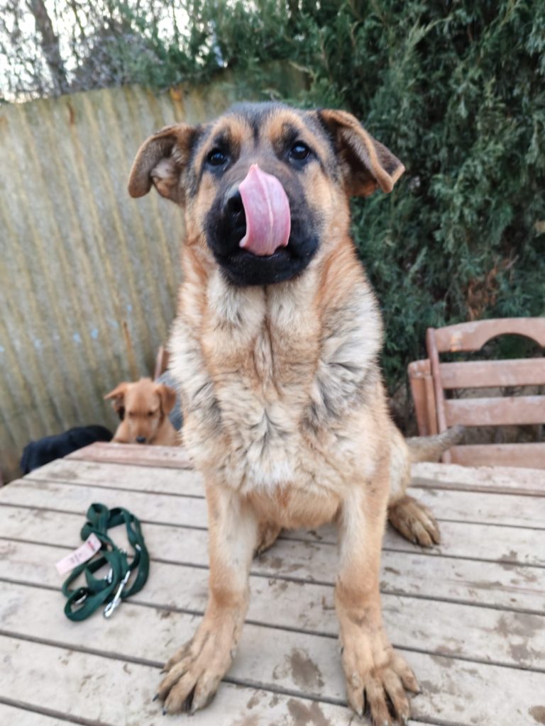 PHOTO-2025-01-08-16-02-16 (2)