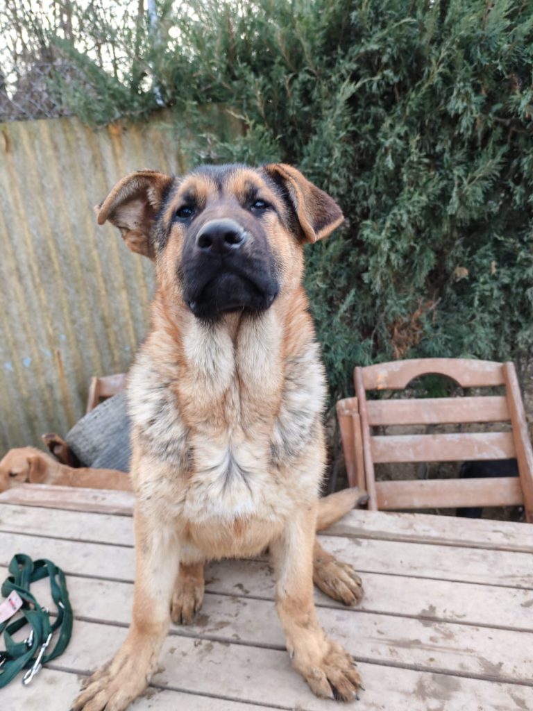 PHOTO-2025-01-08-16-02-16 (3)