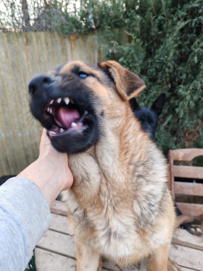 PHOTO-2025-01-08-16-02-16