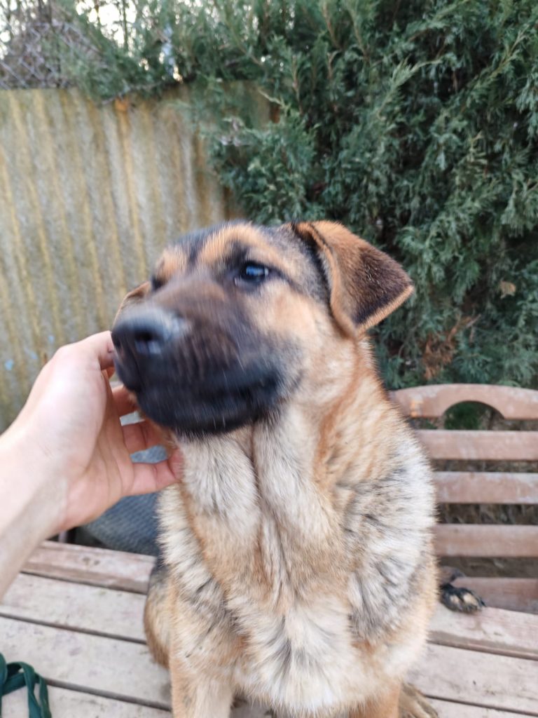 PHOTO-2025-01-08-16-02-17 (2)