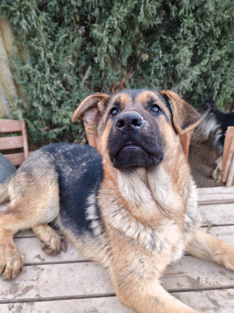 PHOTO-2025-01-08-16-02-17 (3)