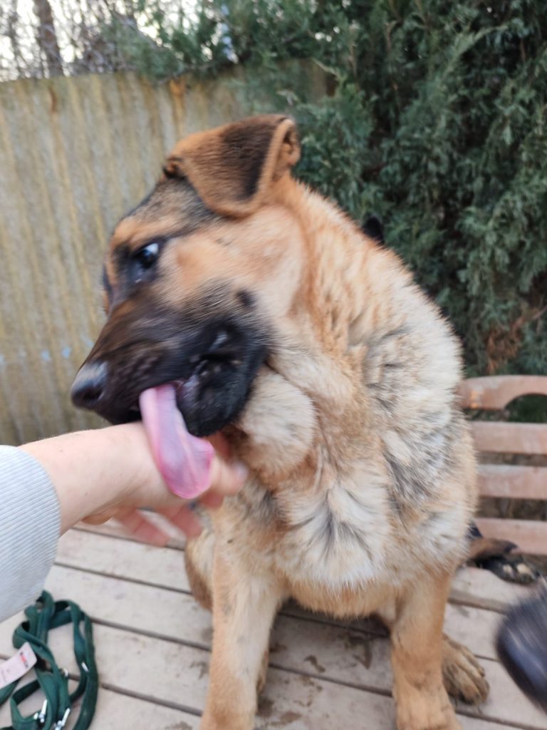 PHOTO-2025-01-08-16-02-17