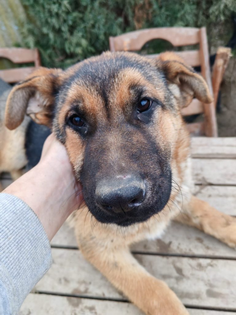 PHOTO-2025-01-08-16-02-18 (2)