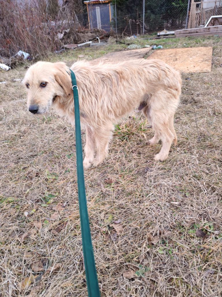 PHOTO-2025-01-08-17-18-32