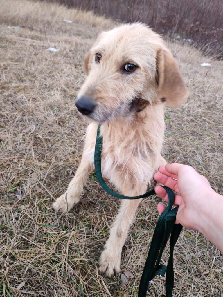 PHOTO-2025-01-08-17-19-45 (2)