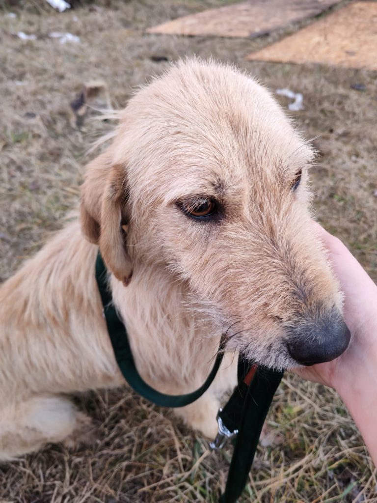 PHOTO-2025-01-08-17-19-46