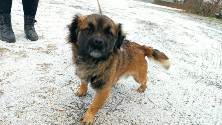 PHOTO-2025-01-17-16-18-07 (2)