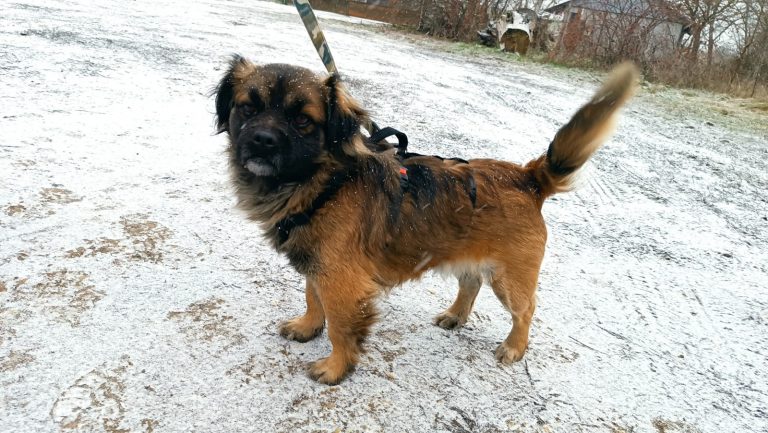 PHOTO-2025-01-17-16-18-07 (3)