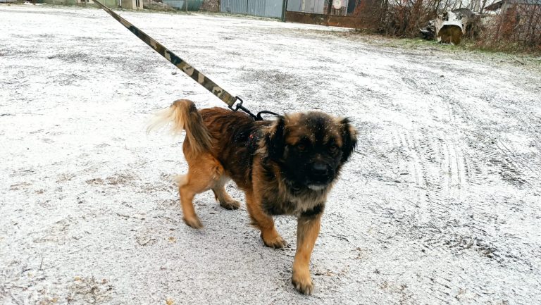 PHOTO-2025-01-17-16-18-07