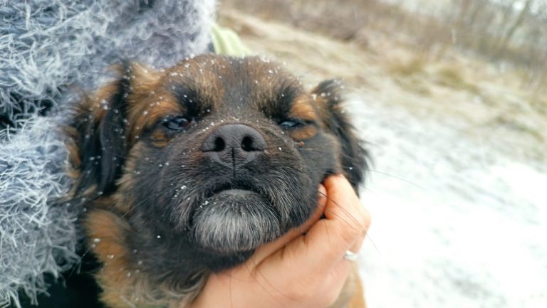 PHOTO-2025-01-17-16-18-08 (3)