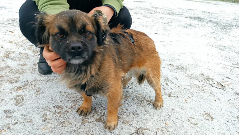 PHOTO-2025-01-17-16-18-10