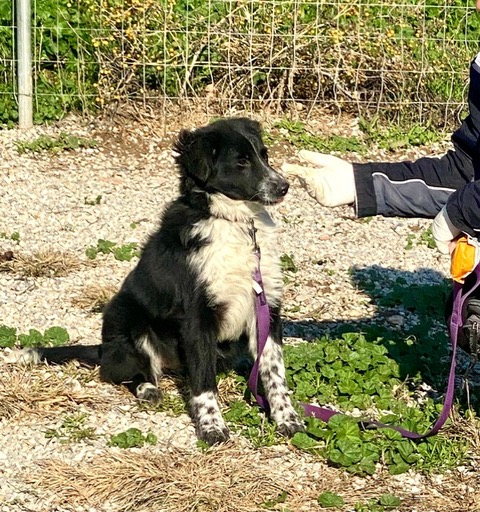 PHOTO-2025-01-19-15-16-05 (13)