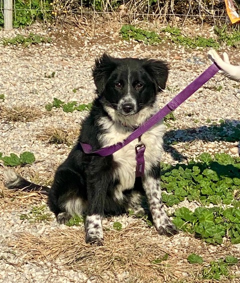 PHOTO-2025-01-19-15-16-05 (14)