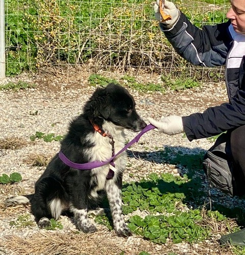 PHOTO-2025-01-19-15-16-05 (16)