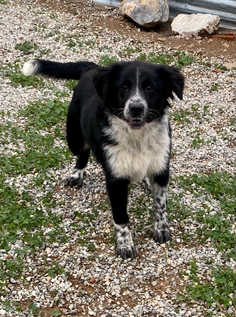 PHOTO-2025-01-19-15-16-05 (18)