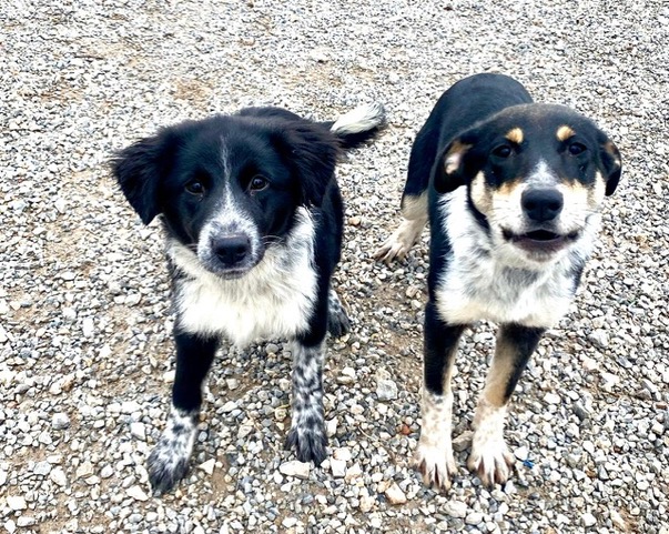 PHOTO-2025-01-19-15-16-05 (23)