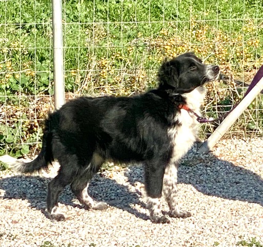 PHOTO-2025-01-19-15-16-05 (7)