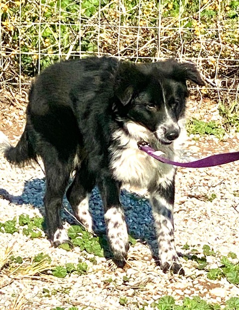 PHOTO-2025-01-19-15-16-05 (8)