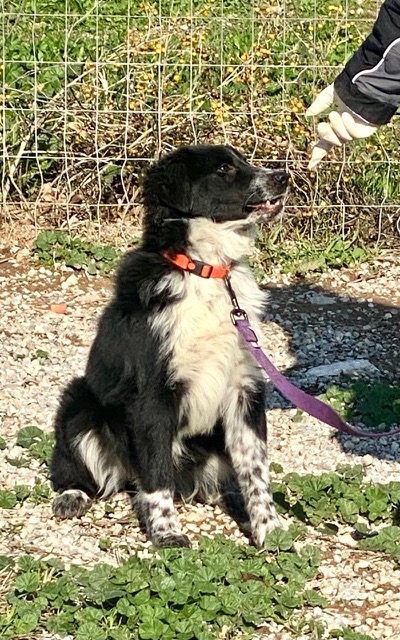 PHOTO-2025-01-19-15-16-05 (9)