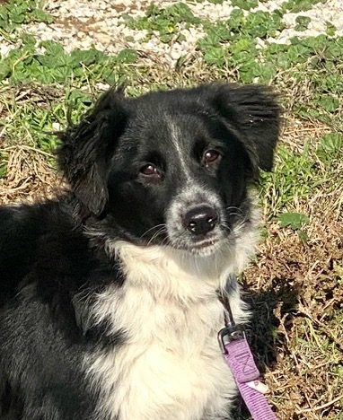 PHOTO-2025-01-19-15-16-05