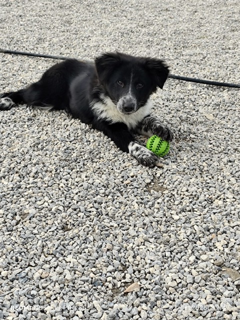 PHOTO-2025-01-19-15-17-10