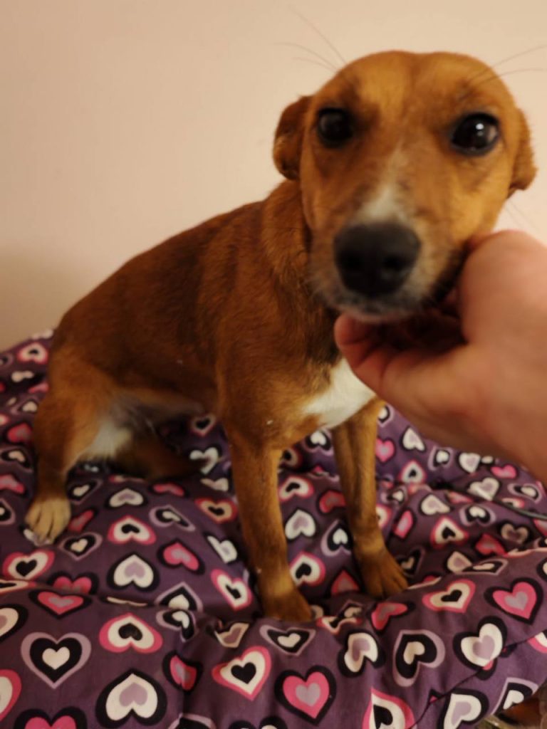 photo_2025-01-17_16-05-42