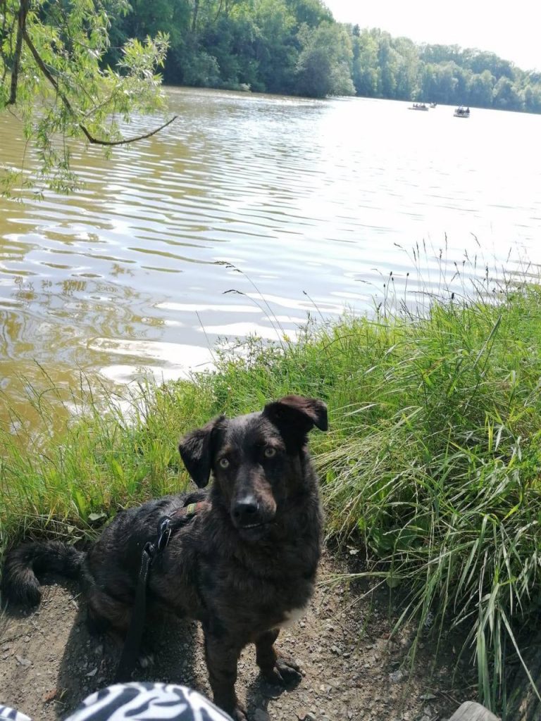 photo_2025-01-17_18-39-16