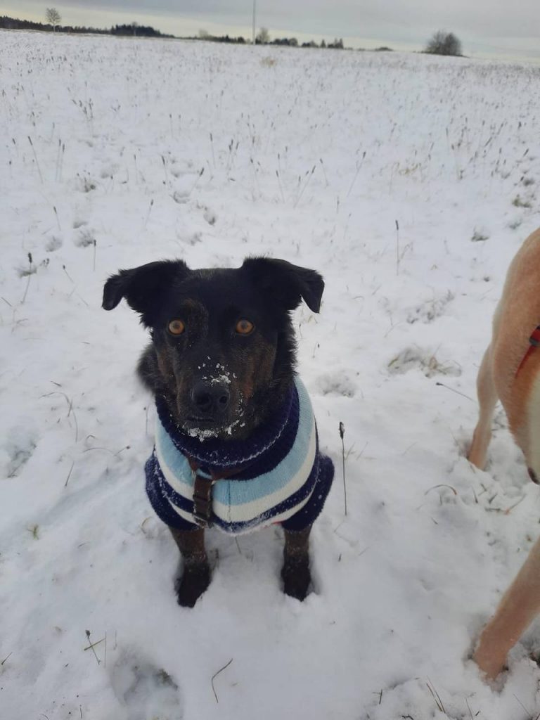 photo_2025-01-17_18-39-28