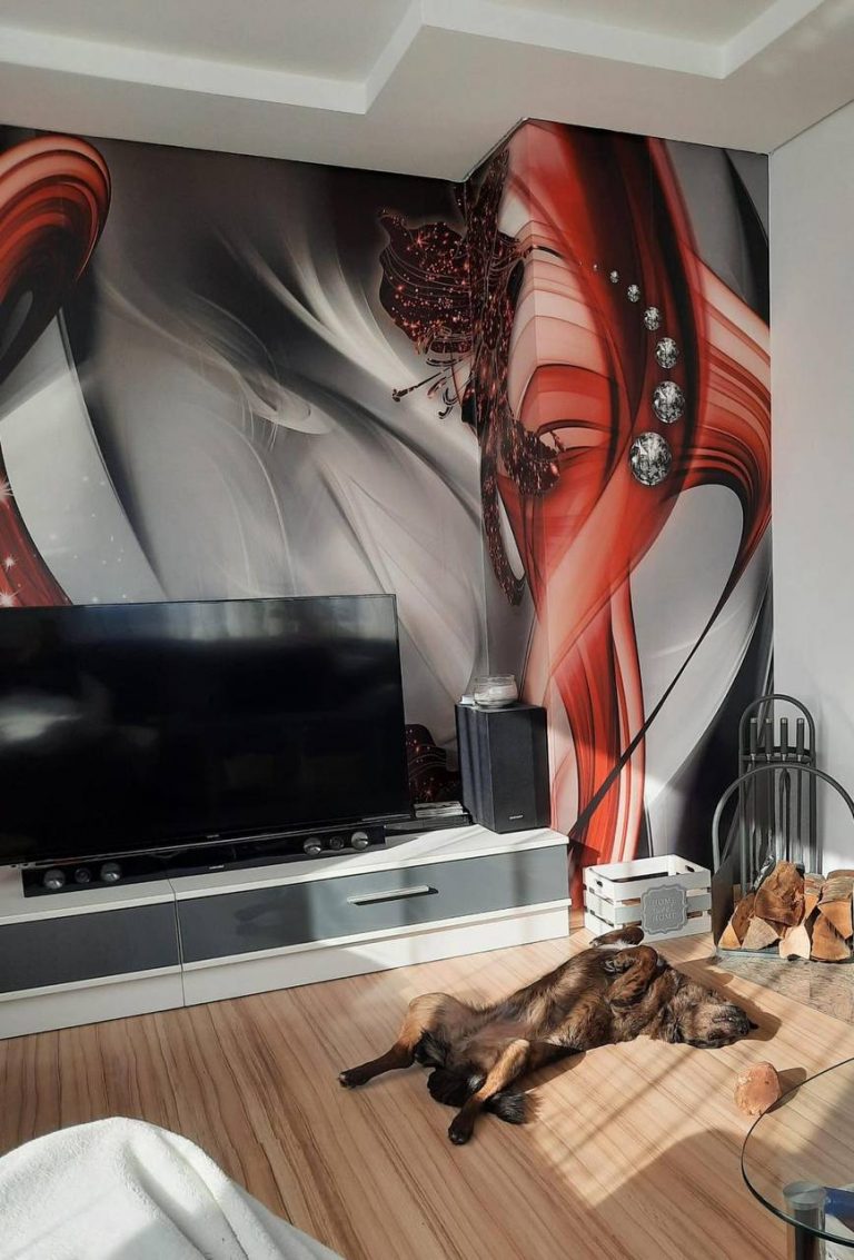 photo_2025-01-17_18-39-32