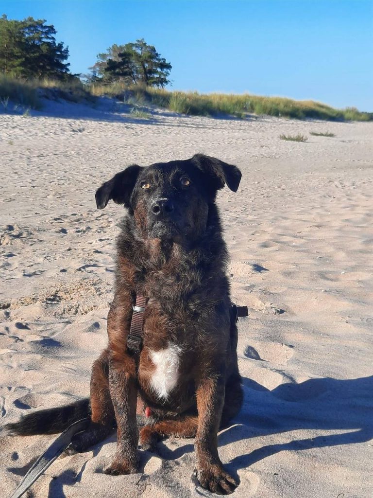 photo_2025-01-17_18-39-46