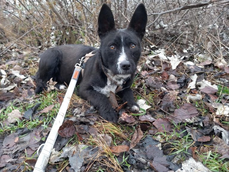 109813a9-1841-48bb-957e-99c1b25de233