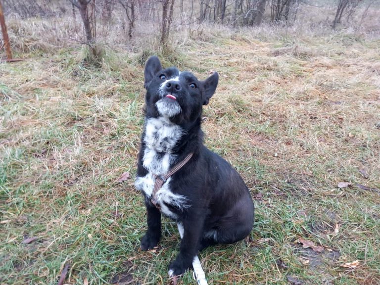 13d16842-73d1-4559-8887-9a23c7646d08