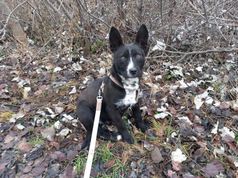 c931364a-2052-4d48-957a-991f2e8c80a9