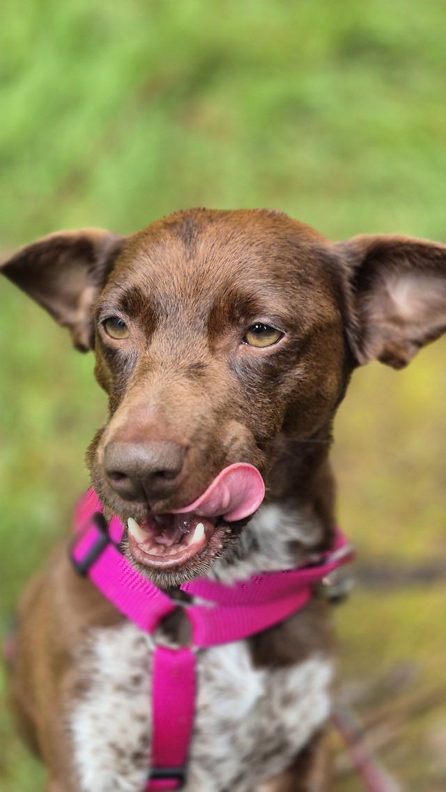 fellengel-melanie-30