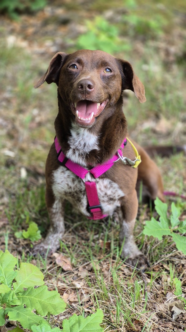 fellengel-melanie-32