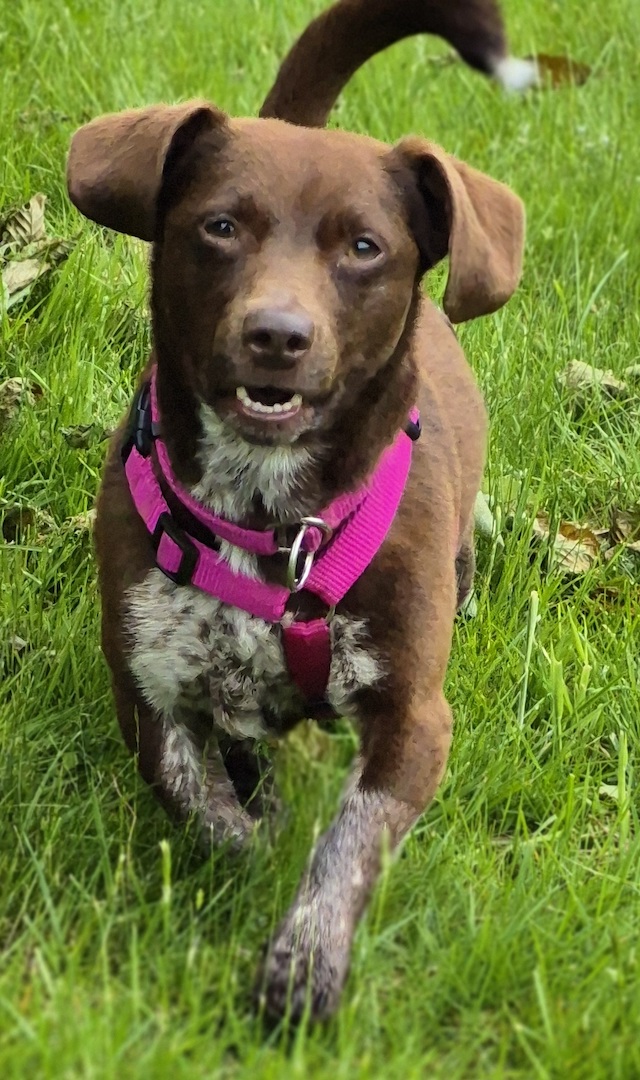 fellengel-melanie-33