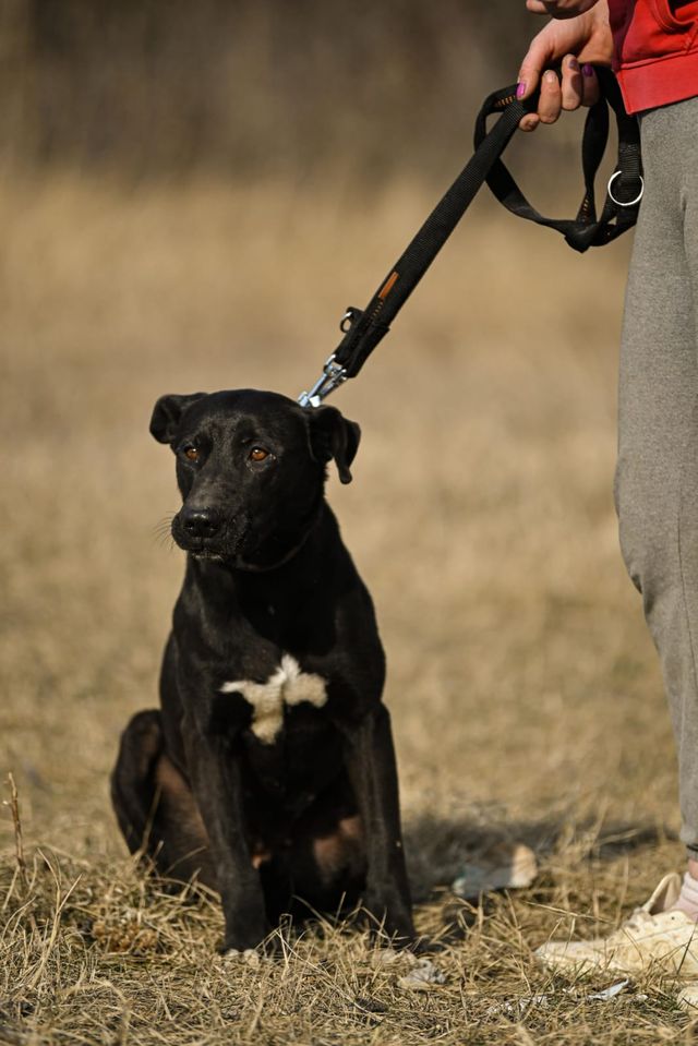 fellengel_amoulette_02