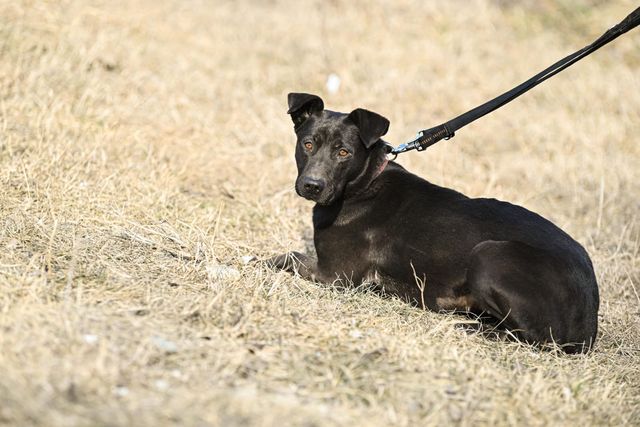 fellengel_amoulette_04